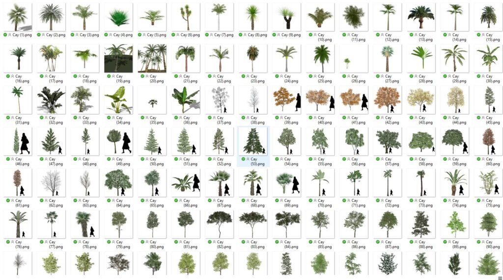 thu vien sketchup cay