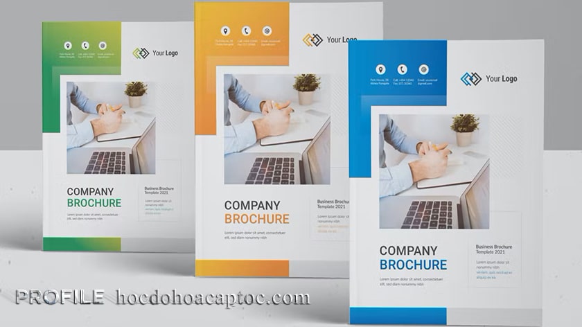 profile hoc do ho cap toc 1 profile là gì