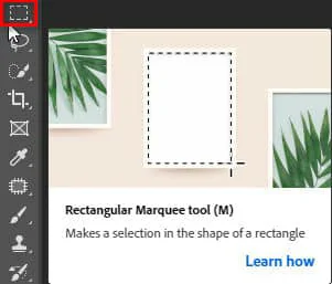 Cách sử dụng Rectangular Tool photoshop