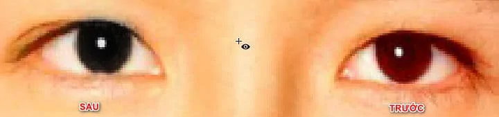 Cách sử dụng Spot Healing Brush Tool Photoshop