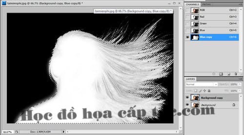 Hướng dẫn tách tóc trong photoshop bằng Channel