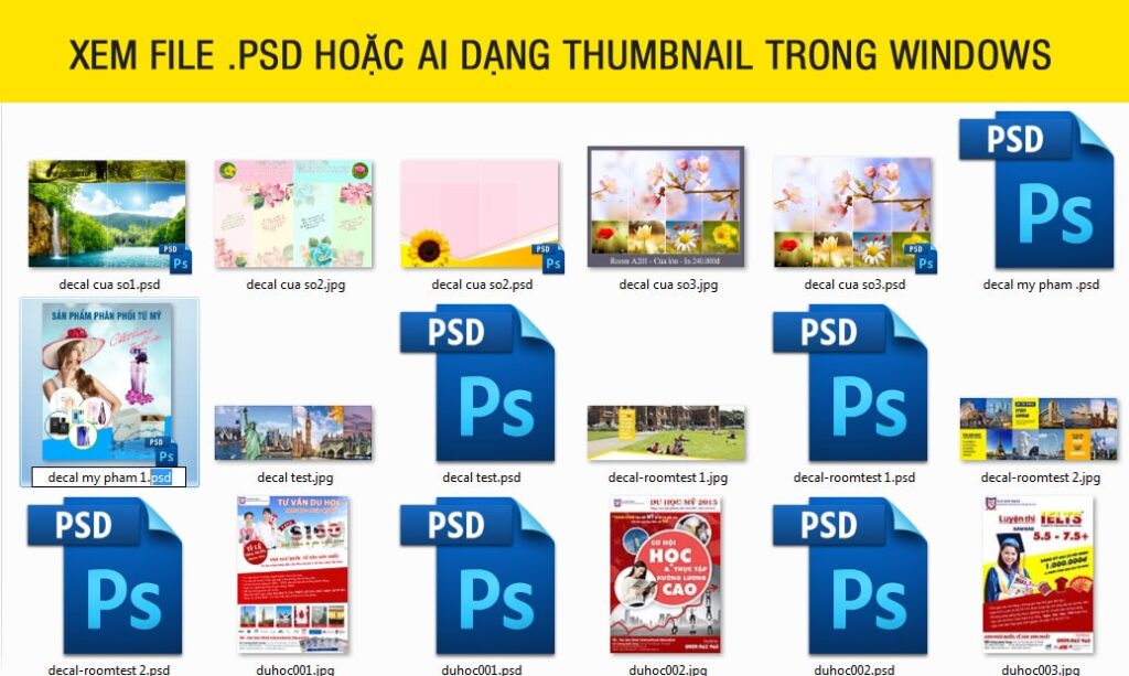 xem trước file PSD