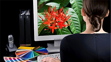 hoc photoshop online cap toc banner