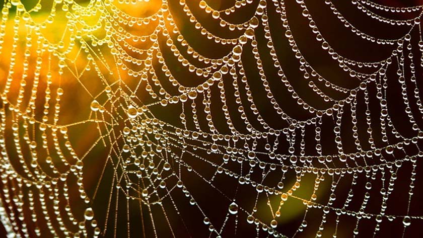 Texture là gì? Những trang lấy texture miễn phí