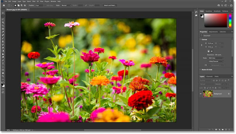 Học Photoshop cơ bản là học những gì?