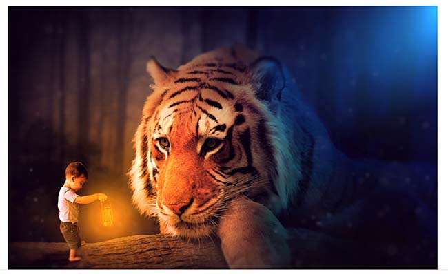 Biến đổi hình ảnh một cách sáng tạo