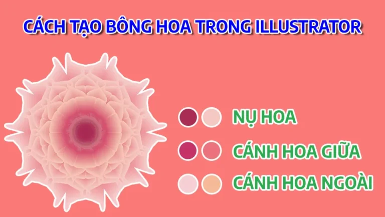 Hướng dẫn sử dụng Pen Tool Photoshop